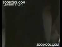 Classic dog fuckers show how to make their pets cum